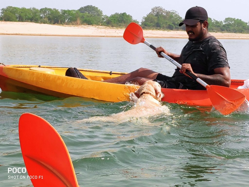 Kayaking with Pets