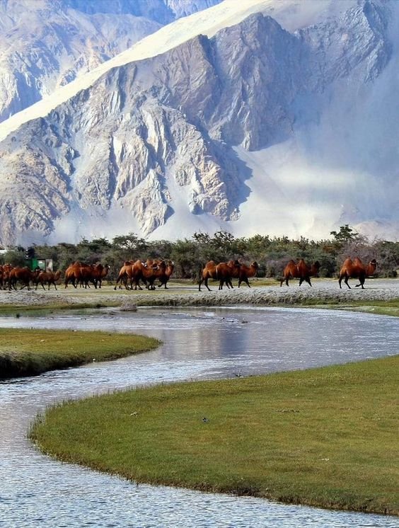 Nubra valley