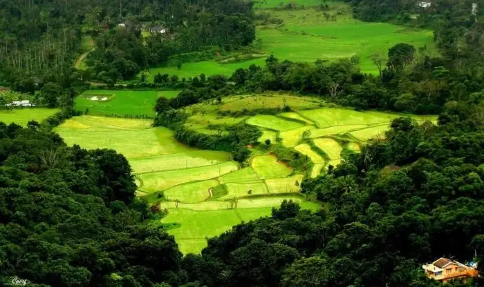 Arial View of Coorg