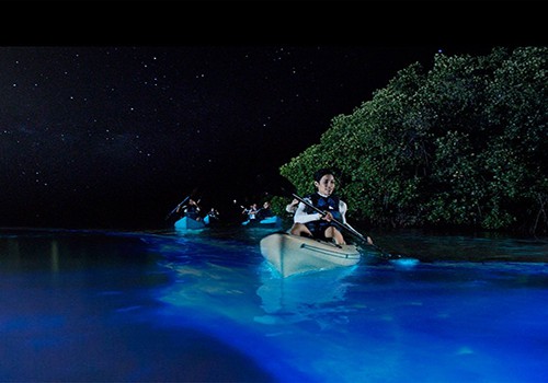 Night Kayaking in the beaches of Andaman Islands