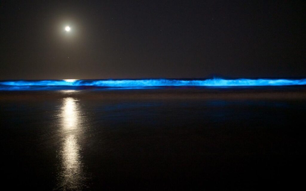 Juhu Beach, one of the Bioluminescent Beaches in India