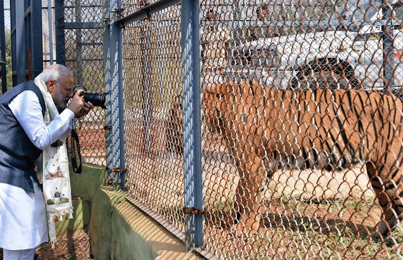 Prime Minister Modi Taking Picture During His Inaugural Visit To Nandanvan Zoo & Safari 