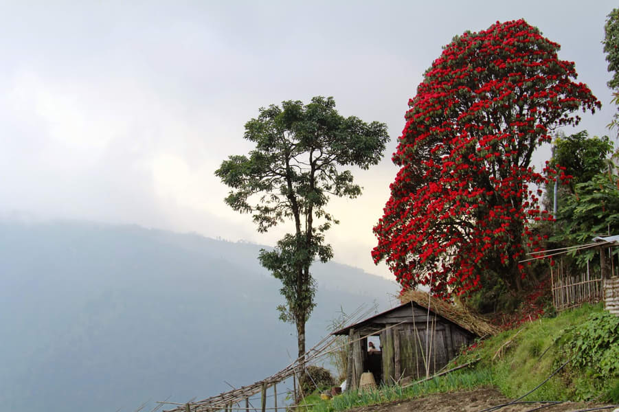 Beautiful scenery of Nepal