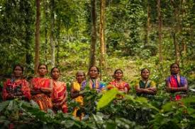 Nurtured by loving hands, the farmers toil with care,
Tending to the coffee plants, with hopes and dreams they share,
Each bean a testament, a labor of devotion,
Carrying the essence of Odisha's coffee-filled emotion.