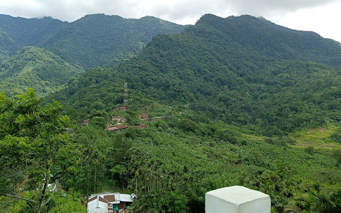 Jating valley,covered with green forest, birds migrate to this place flying towards sun 