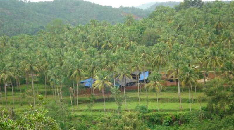a village in Malappuram district in Kerela, surrounded by green lush forest,where most twins are born in india