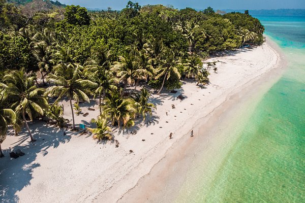 Greenery, White sand beach, Havelock island, Andaman island