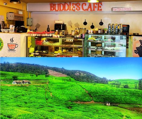 Image of Buddies cafe and nature view of Ooty tea Garden