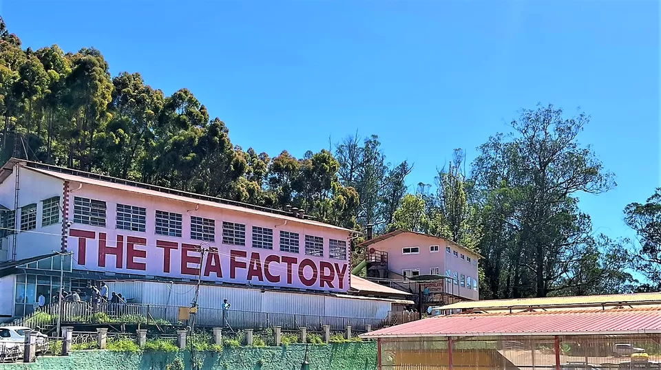 image of tea factory and the tea museum Ooty, Tamilnadu.