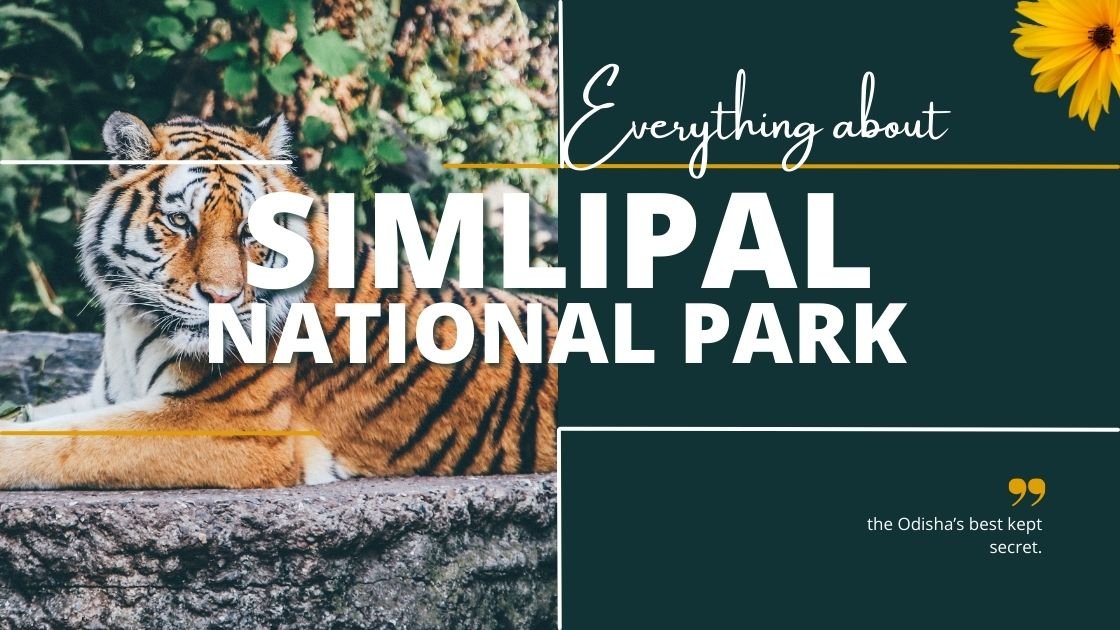 Simlipal National Park being the Odisha's best kept secret ...