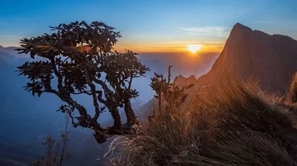 View of sunrise from above the mountains in kolukkumalai peak, tamilnadu