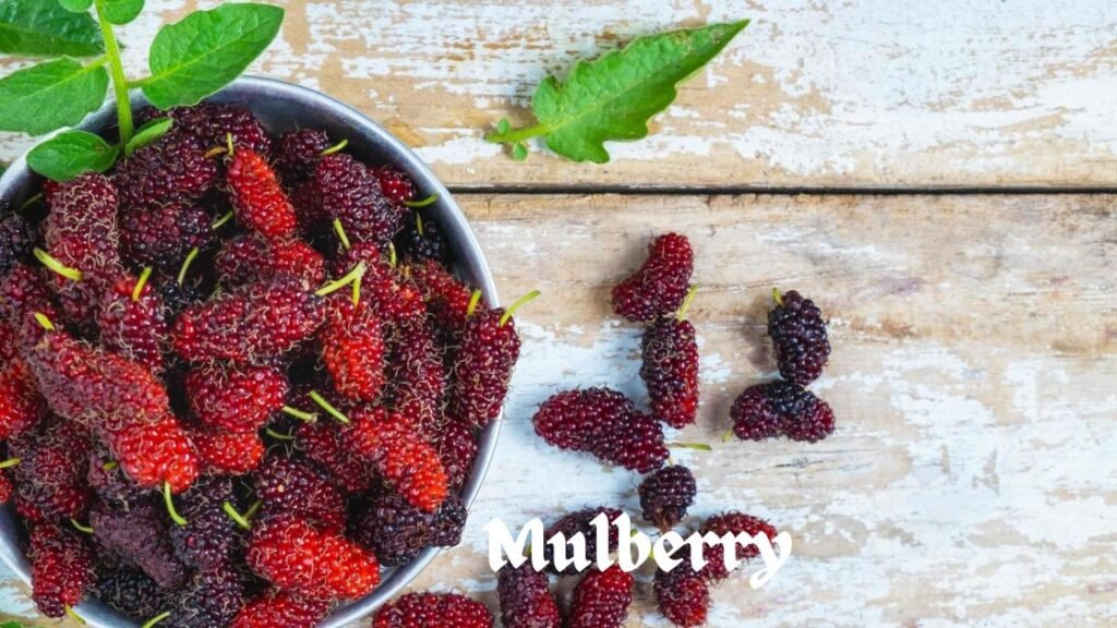 Mulberry fruit