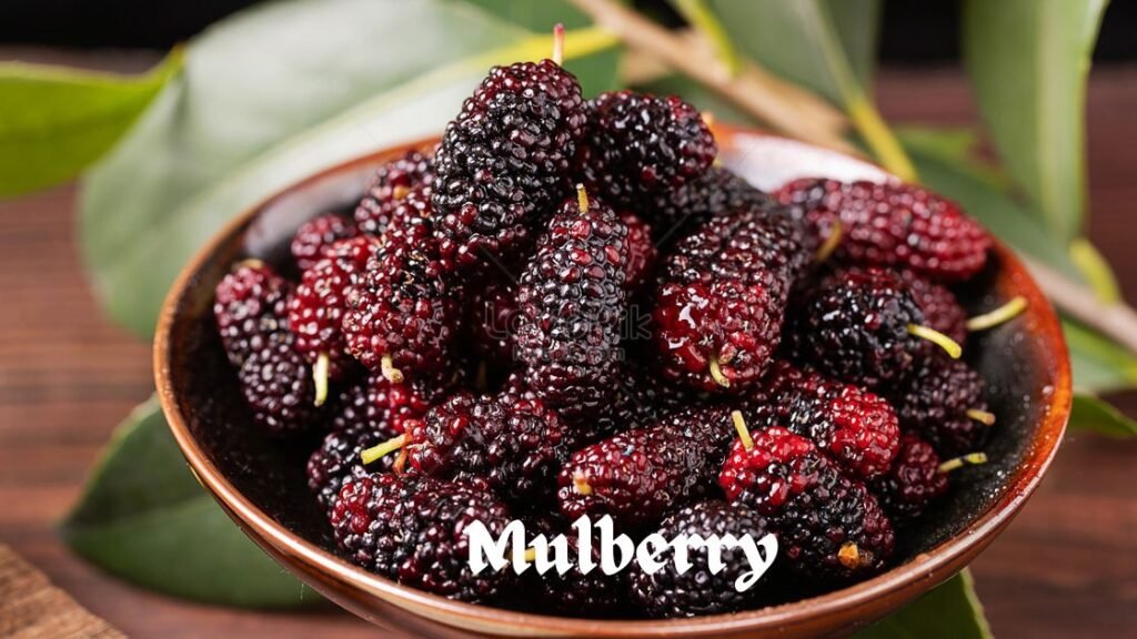 Mulberry fruit
