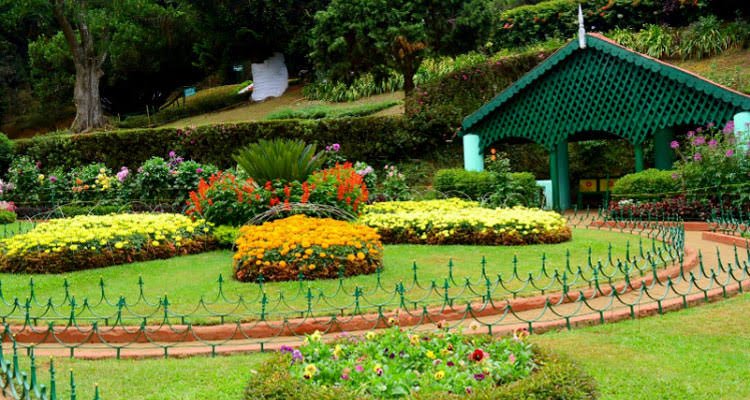 sim's park image