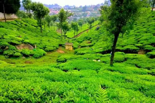 Ketti Valley image