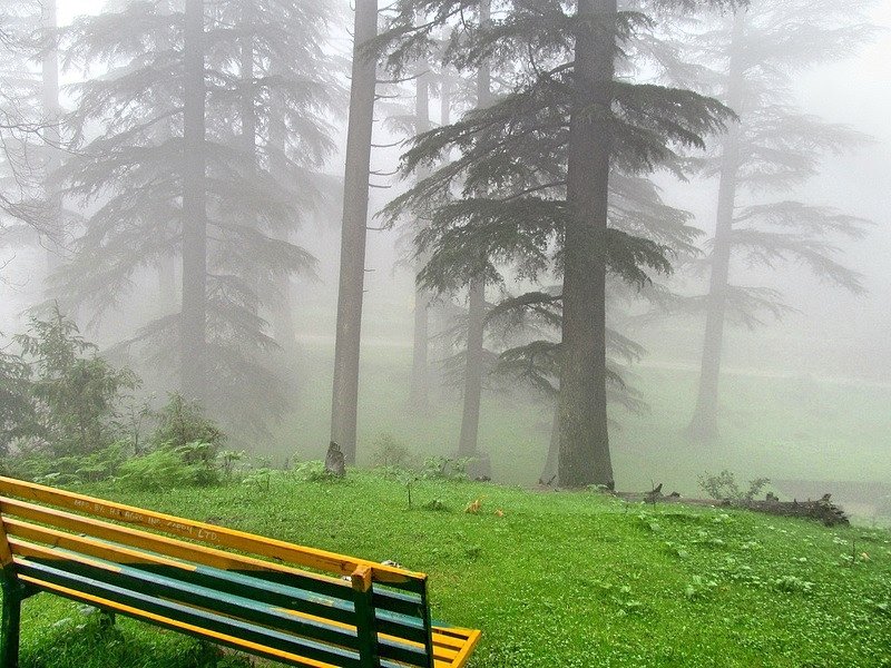 Kalatop Khajjiar Sanctuary in Chamba, Himachal Pradesh, is a dense forest area rich in wildlife and scenic beauty. It offers lush greenery, serene walking trails, and stunning views of the surrounding mountains, making it a haven for nature lovers and trekkers.