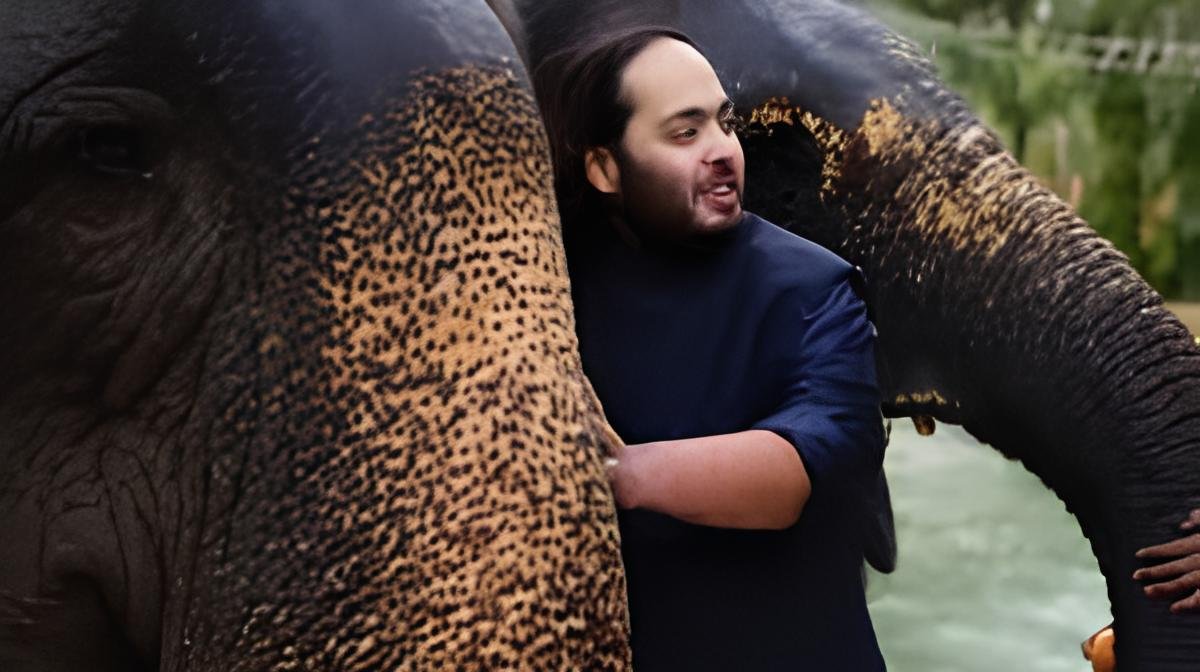 ANANT AMBANI WITH RESCUED ELEPHANTS