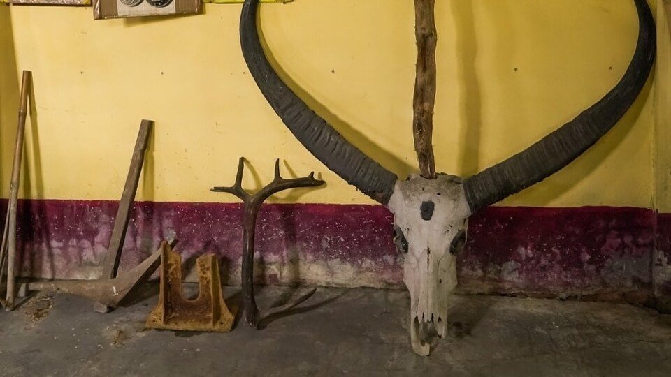 Mayong Museum where all types of Black Magic Equipments which are used are stored there.