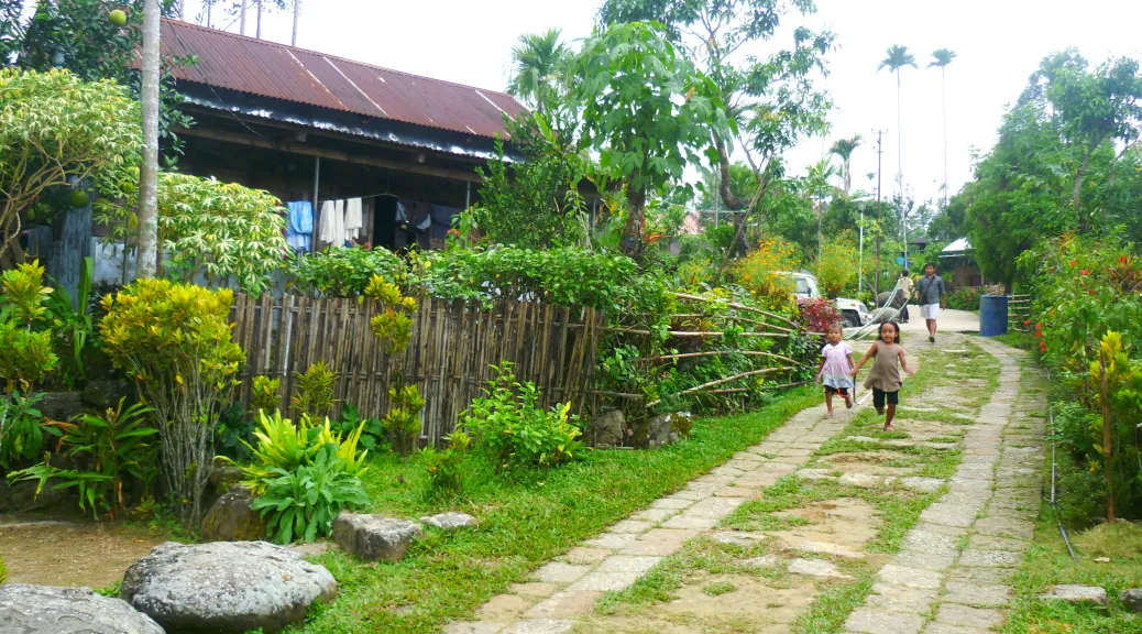 Well-maintained houses and clean paths in Mawlynnong village
