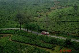 Forest road leading to Gavi inside Periyar Tiger Reserve Kerala